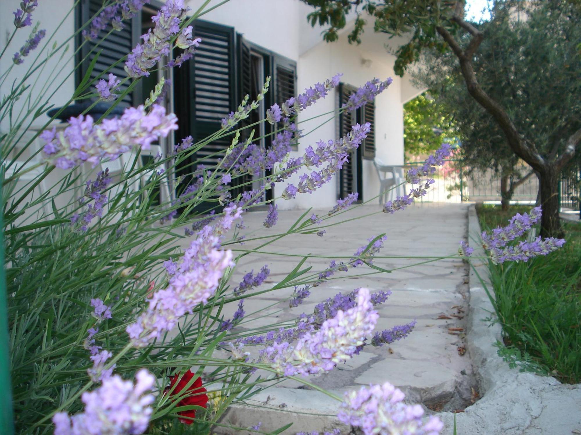Apartments Smiljana Omiš Esterno foto